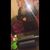 Elizabeth Camacho's profile image