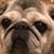 Nicole Mathusa Anderson's profile image
