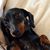Suzanne Haffner's profile image