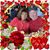 Judy Thole's profile image