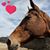 Shirley Ford's profile image