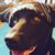 Saiky Granados's profile image
