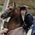 Leslie Ann Asbury's profile image