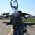 Ben Farrant's profile image