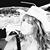 Carol Meyer's profile image