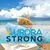 Donna Day Monti's profile image