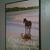 Sandy Tarr Overman's profile image