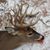 Brad Bowman's profile image