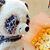 Maylan Thao's profile image