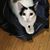 Luna Beida's profile image