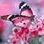 Julie Gentner Rugenski's profile image