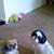 Zenobia Turpin's profile image