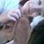 Harley Jones's profile image