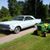 Durango Russell's profile image