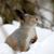 Michelle Bailey's profile image