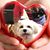 Misty Rudolf's profile image