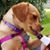 Joann L Ellis's profile image
