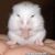 Jeremy Ponti's profile image