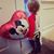 Mary Martin's profile image
