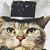 Bonnie Sutphin's profile image