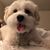Elsy Marin's profile image