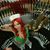 Debra Brenner's profile image