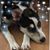 Laura Clarkson's profile image