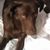 Tamara Ann Santagato's profile image
