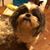 Judy Prena's profile image