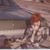 Bob Poole's profile image