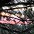 Donna Lemmon's profile image