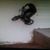 Josh Angel's profile image
