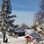 Sue Schiemann-Jebens's profile image