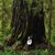 Wendy Leigh Barnett's profile image