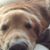 Jean Tillinghast-Vallance's profile image