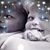 Lori Ann Saylor's profile image