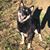 Clo Cogswell's profile image