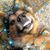Sherri Mannthey's profile image