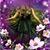 Deborah Kesner's profile image