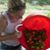 Sarah Marshall's profile image