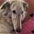 Jan Traver's profile image