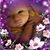 Shirley Corcovilos Crane's profile image