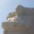 Tony Smith's profile image