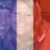 Theresa Hoffman's profile image