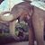 Tonie Francesca's profile image