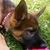 Elizabeth Fossett's profile image