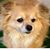 Mary K Carpenter's profile image