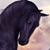Carole Sindlinger's profile image