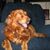 David Williamson's profile image