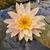 JoAnna Staffon's profile image